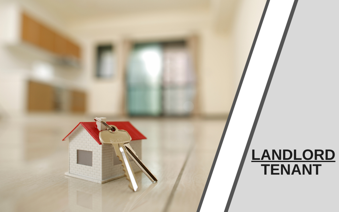 Landlord Tenant Blog Header